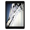 IPad 10.2 (2020) LCD DISPIT OPRAVA