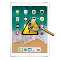 iPad Pro 12.9 Diagnóza