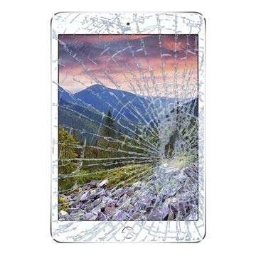 IPad Mini 3 Display Glass & Touch Screen Oprava